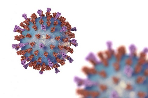 3614 са установени с COVID-19 за денонощие