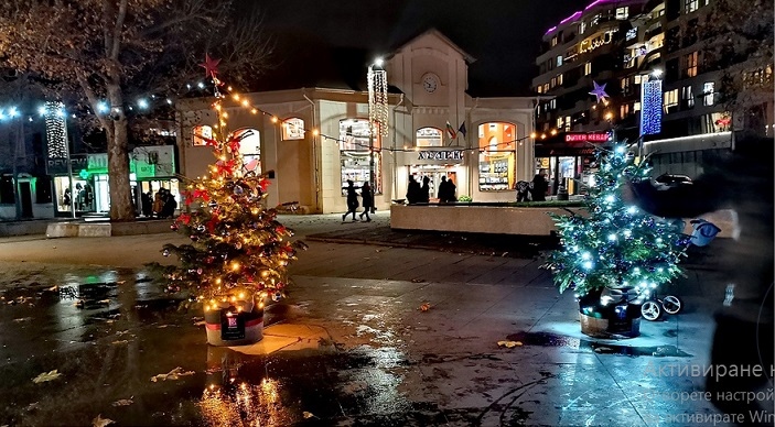 Елхи на таланта красят центъра на Бургас