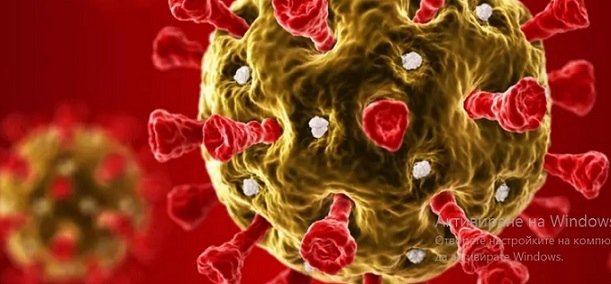 233 нови случая на COVID-19 при 4628 теста