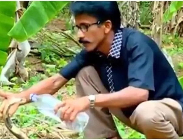 Индиец напои кобра с вода от бутилка (ВИДЕО)