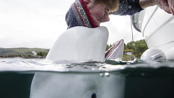 Снимките на годината (ГАЛЕРИЯ)