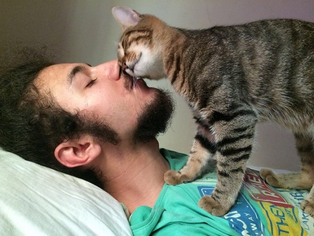 Котката – будилник, но избързващ