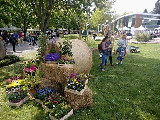 Бургас отново е столица на цветята