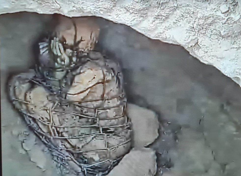 Откриха мумия в Перу (Видео)