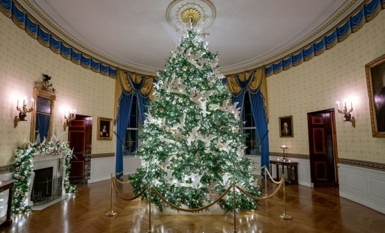 Първата дама на САЩ разкри празничните  украси в Белия дом (Видео)