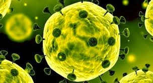 904 нови случая на COVID-19 за последното денонощие са регистрирани у нас