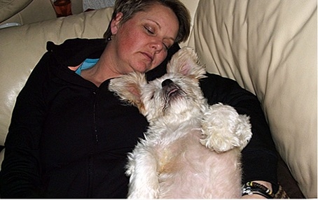 Домашните кучета - непризнатите герои по време на COVID пандемията