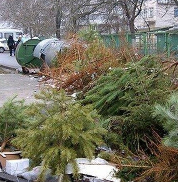 Не изхвърляйте коледните си елхи в кофите за боклук