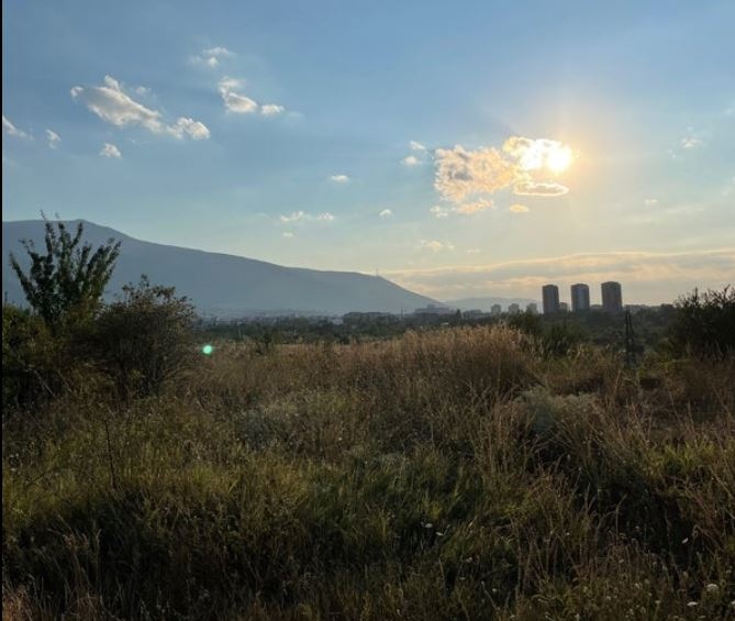 Човешки останки бяха намерени в столичен парк