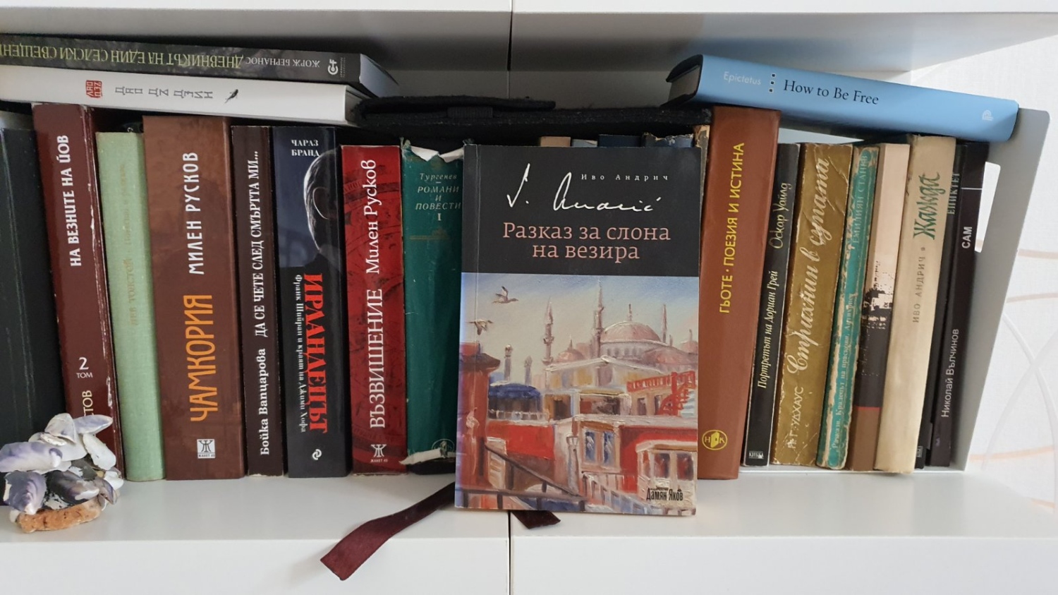 Какво ни дават книгите: за ползите от четенето