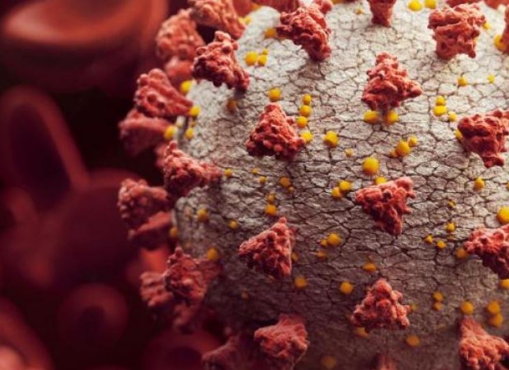 Пореден ден с близо 10 000 новозаразени с COVID-19