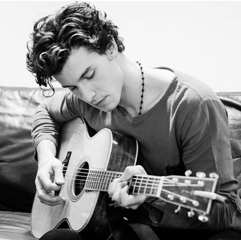 Шон Питър Раул Мендес-  семейство и кариера (Видео)