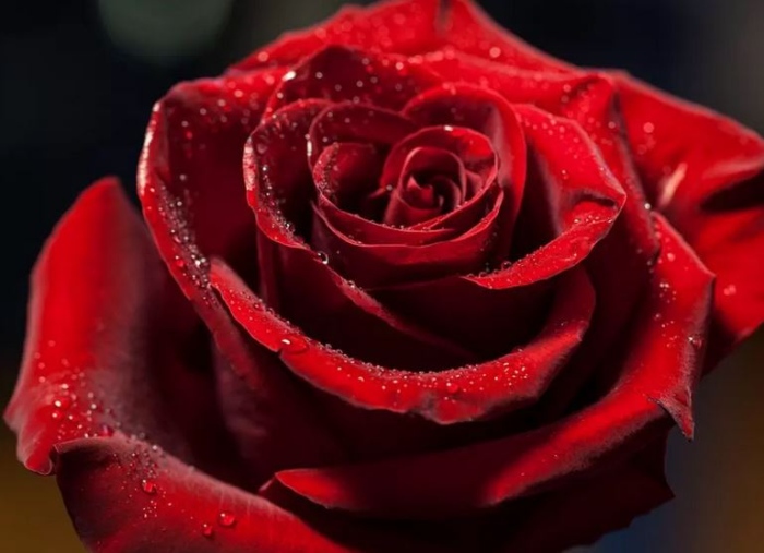 Историята за възникването на празника посветен на жената