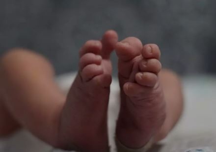 Намериха мъртво бебе в контейнер за боклук в Димитровград