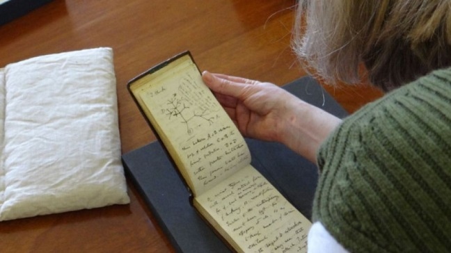 Намерени са тефтери на Дарвин