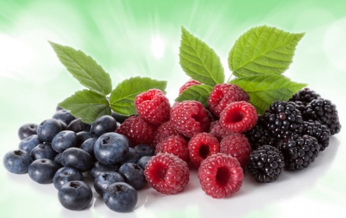 Здравето е храна, храната е здраве