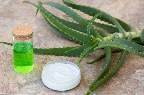 Алое вера – целителят от природата (РЕЦЕПТИ)