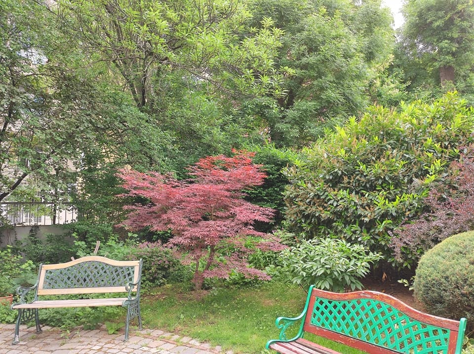 Слънчево и променлива облачност над планините в понеделник