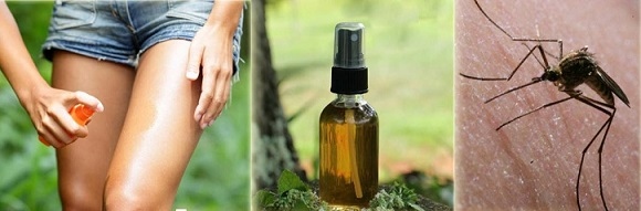 Ябълков  оцет и масла пъдят комарите без остатък