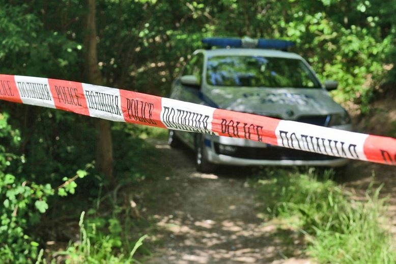 Откриха 7 трупа, заровени в гора край София