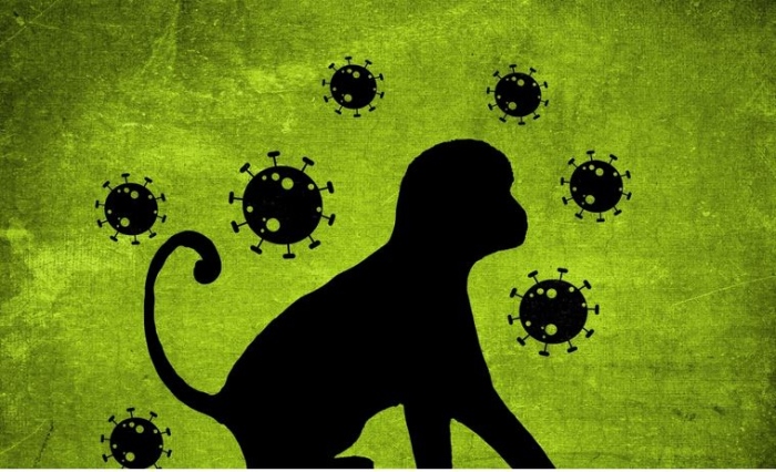 Първи случай на маймунска шарка в Сърбия