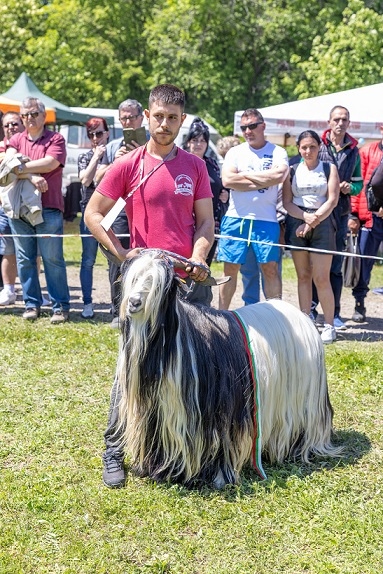 Пръчът Джони – хубавец №1