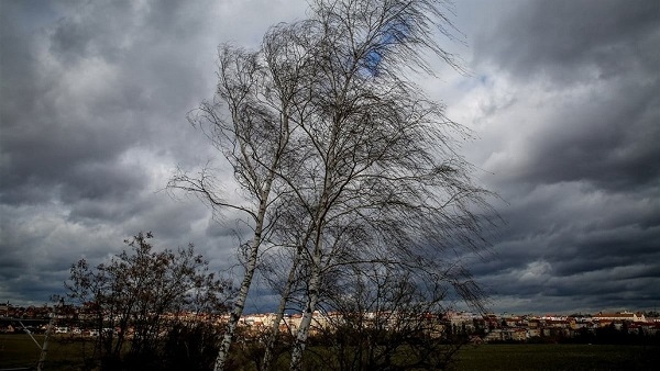 Пак вкъщи, лошо време
