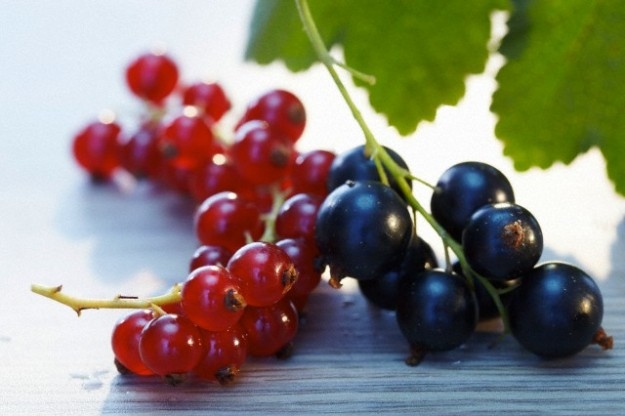 Касисът премахва отоците на бременните