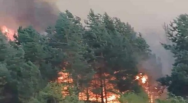 България втора по горски пожари в Европа