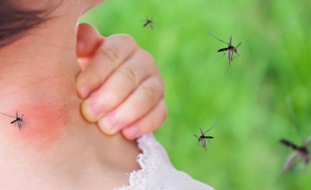 Двама починали от Западнонилска треска у нас