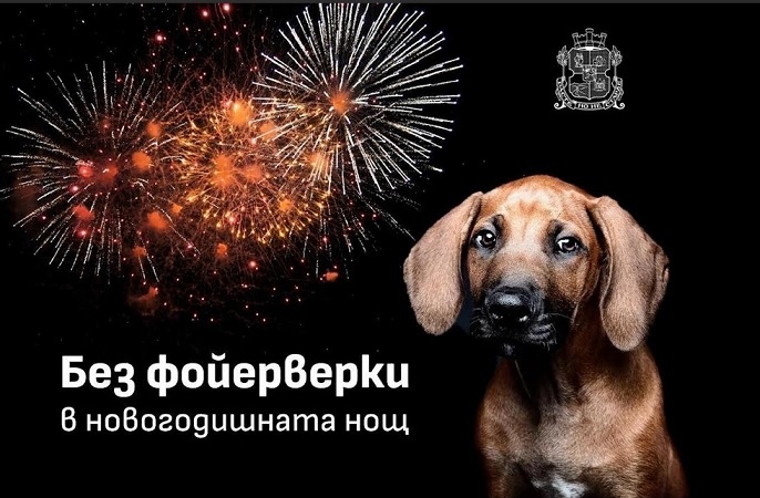 Светлинно шоу вместо фойерверки в София