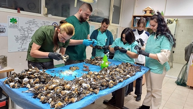 Над 600 пойни птици мъртви след зарята