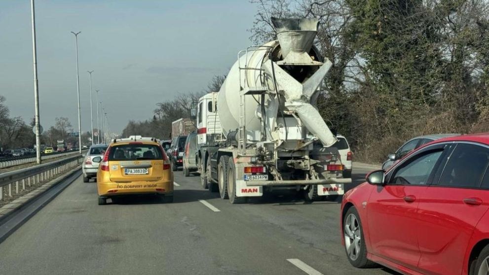 Пострадала от паднало дърво на оживен булевард