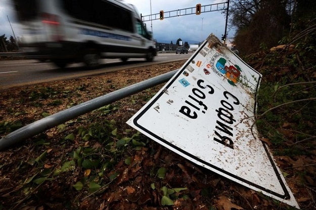 Дърво падна върху бус с арестанти (ГАЛЕРИЯ)