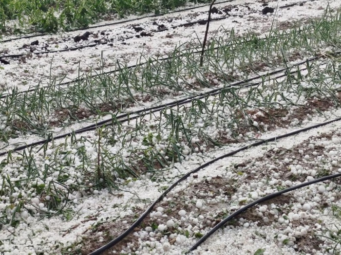 Удари градушка, селища без електричество