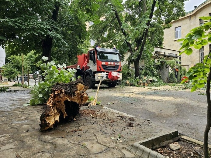 Дърво падна върху кола в центъра на Русе (Галерия)
