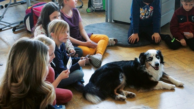 Пухкави любимци в помощ на учениците в клас