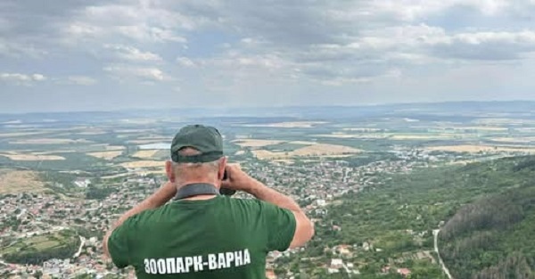 Втори ден в търсене на мистериозния леопард (КОЛАЖИ)