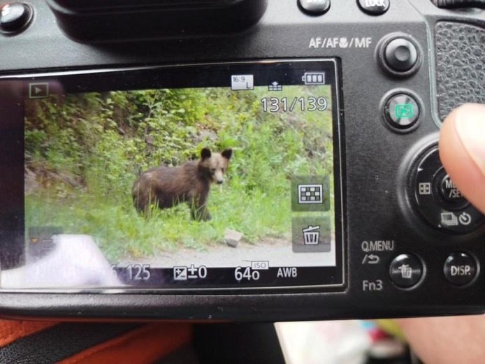 Мечета край Смолян, търсят храна (СНИМКИ)