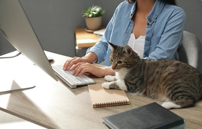 Новата болест на века – продължителното седене