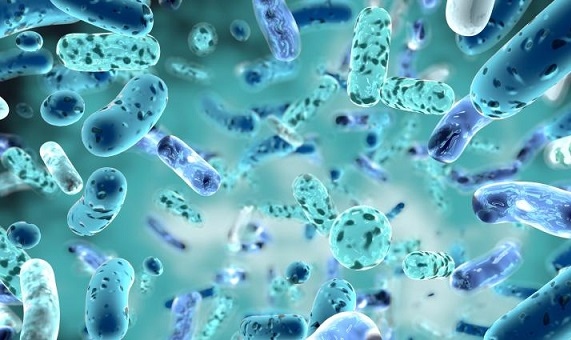 Учени съживиха вируси на 40 000 години