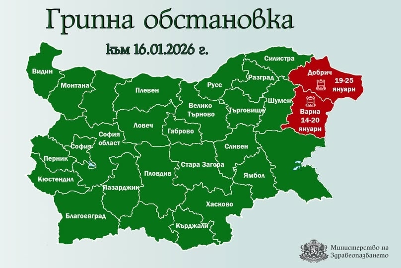 И Добрич е в грипна епидемия 