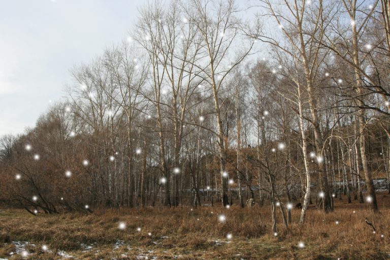 Вадете пак леките дрехи, температурата до 14 градуса