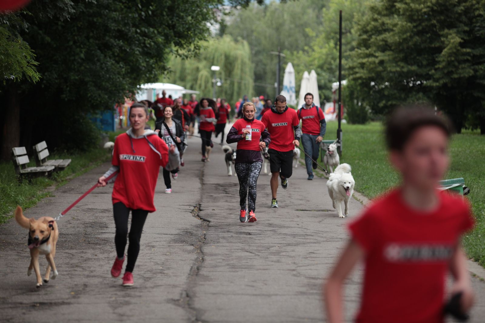 Стопани и техните кучета ще се включат в маратон против изоставянето ан домашни любимци. Инициативата, която се организира, вече традиционно, се осъществява с подкрепата на PURINA-България. Тя ще бъде на 6 октомври от 17.00 часа в столичния Южен парк. PURINA България ще обедини стопани и техните кучета в благотворителния маратон против изоставянето на домашни любимци. Следвай ме - Общество