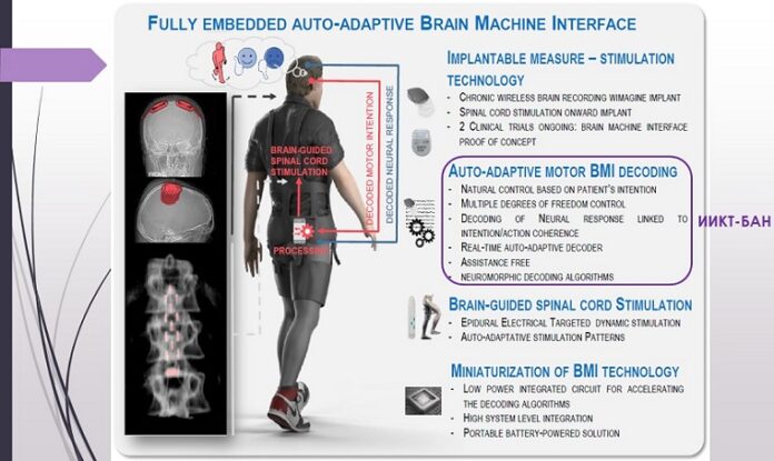 Учени от БАН с решение при парализа Те създават система за моторна стимулация, включваща напълно вградени невропротези и невроморфен интерфейс. Следвай ме - Технологии
